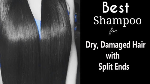 Best Shampoos for Dry, Damaged Hair with Split Ends