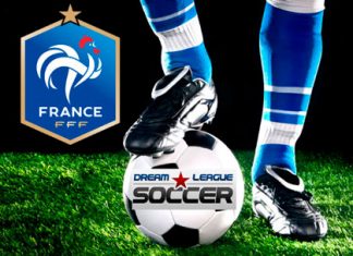 DLS France Team