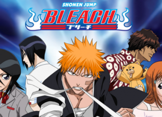 Episode Guide of Bleach Anime