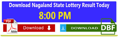 Nagaland Lottery Today Evening Result