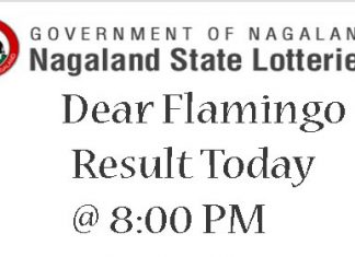 Nagaland State Lottery Dear Flamingo Result