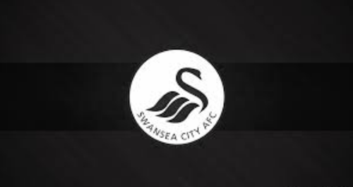 Swansea City Team