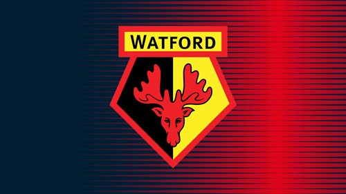 Watford Team