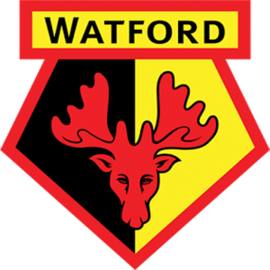 Watfrod F.C Logo
